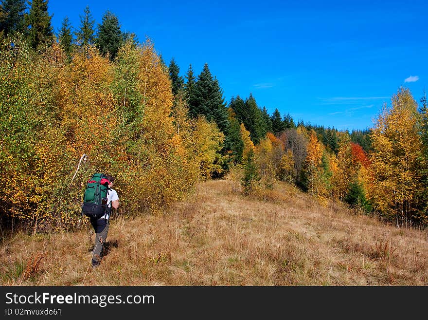 Hiker in autumn