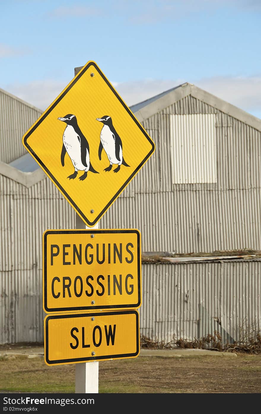 Penguin Crossing