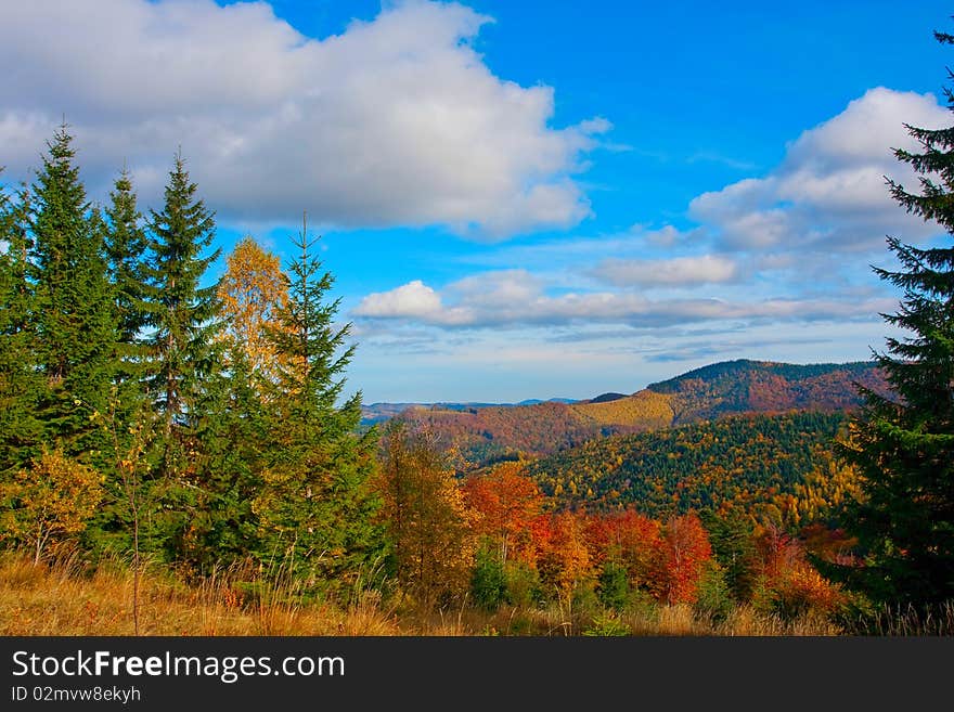 Scenic view of forest on mountainside with cloudscape in background. Scenic view of forest on mountainside with cloudscape in background