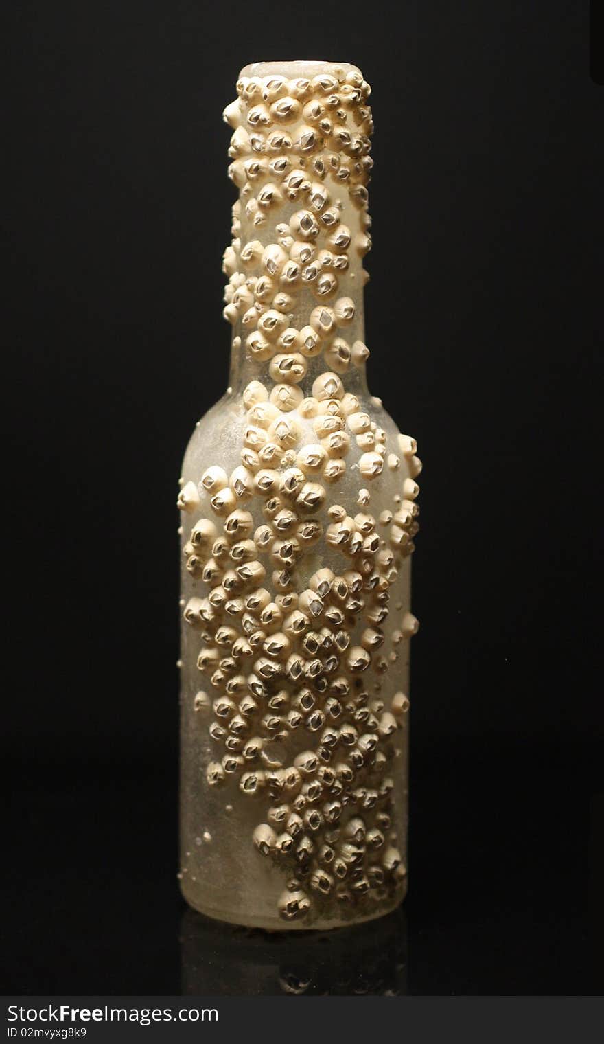 Bottle covered in barnacles against a black background. Bottle covered in barnacles against a black background.