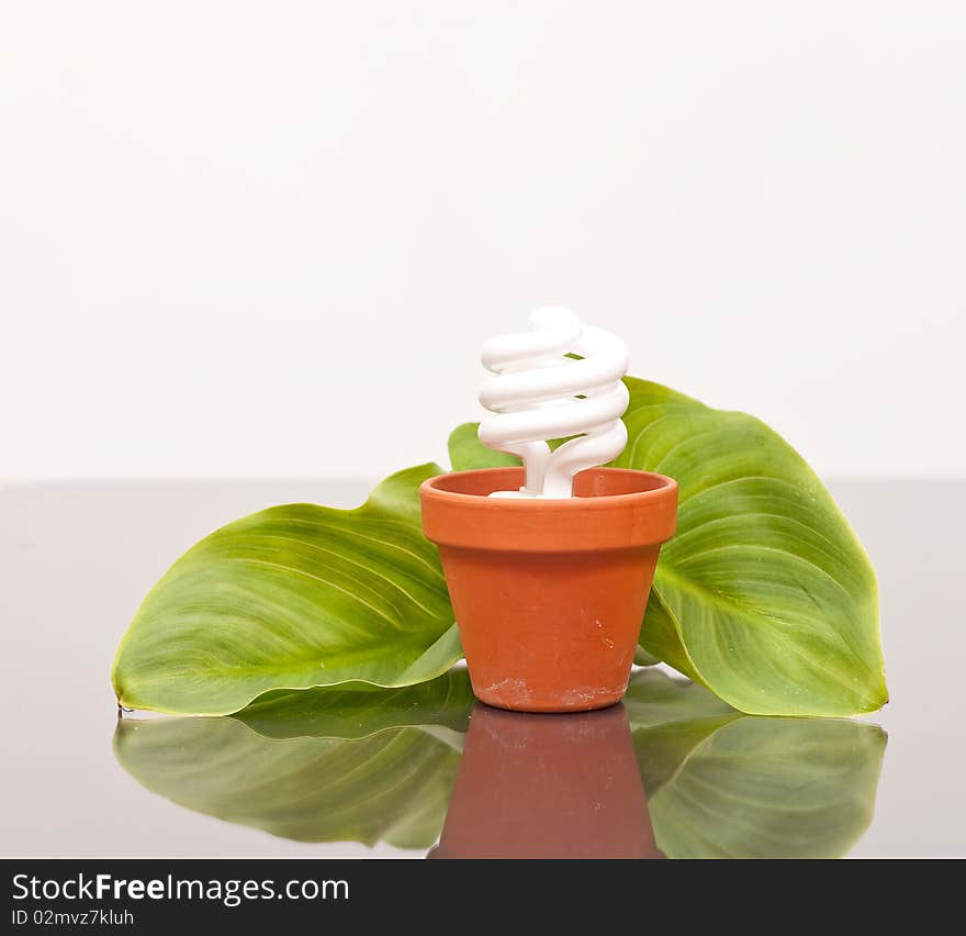 Light-bulb planted in a flower pot. Light-bulb planted in a flower pot