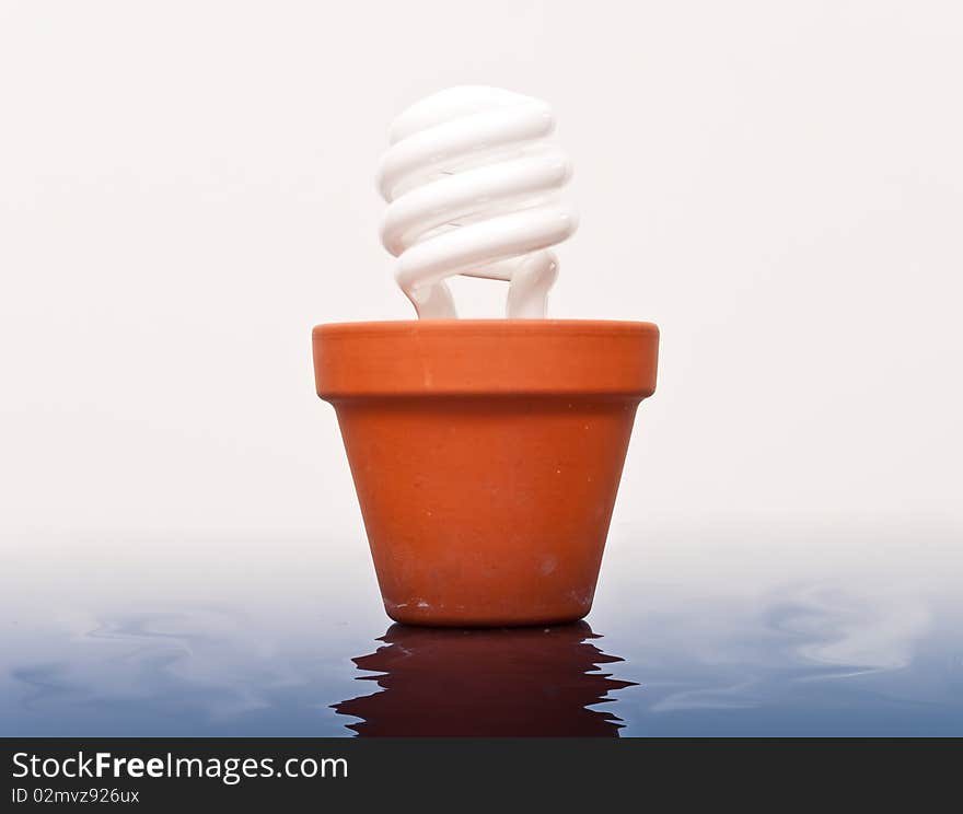 Clean Energy Conceptual image through energy efficient lightbulb in Plant pot