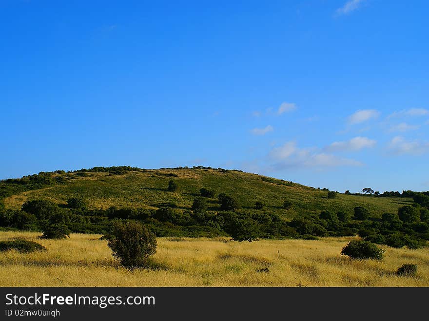 A beautiful image of the summer campaign of Sardinia. A beautiful image of the summer campaign of Sardinia