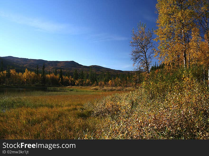 Beautiful autumn landscape in mountain