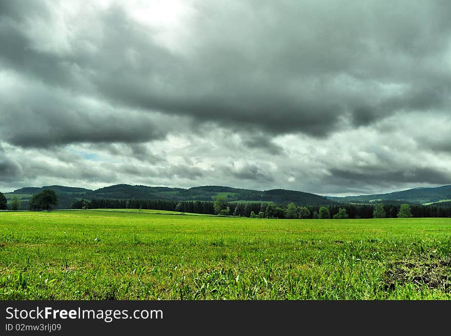 Dramatic meadow on summery day. Dramatic meadow on summery day