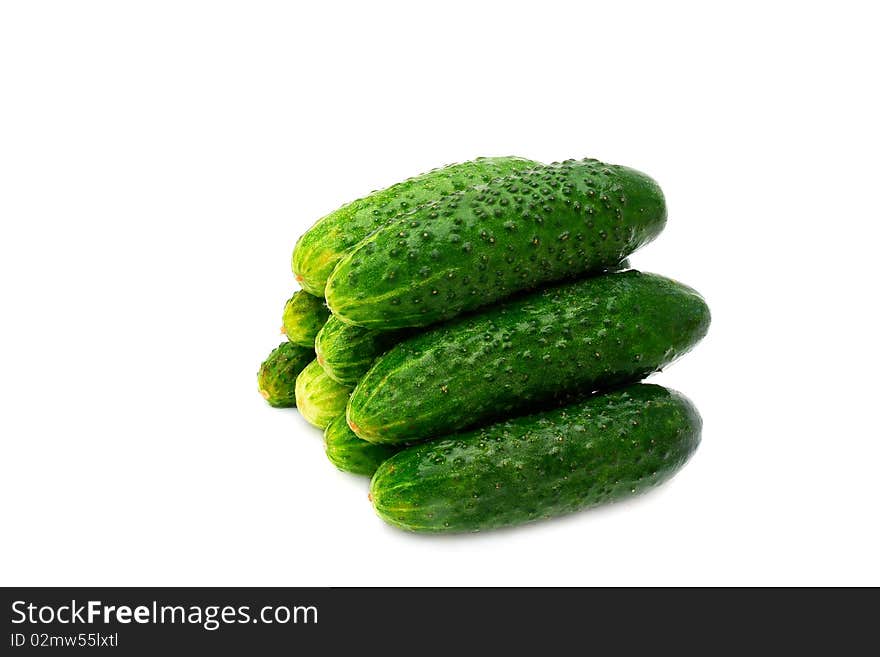 Green ripe cucumbers on a white background. Green ripe cucumbers on a white background