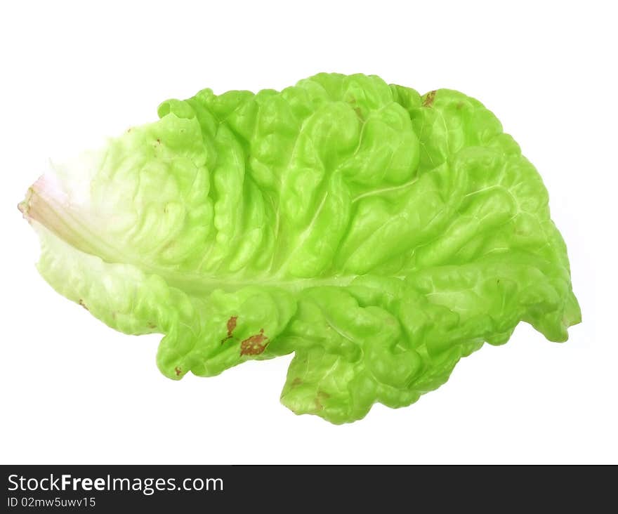 lettuce leavef isolated on white. lettuce leavef isolated on white