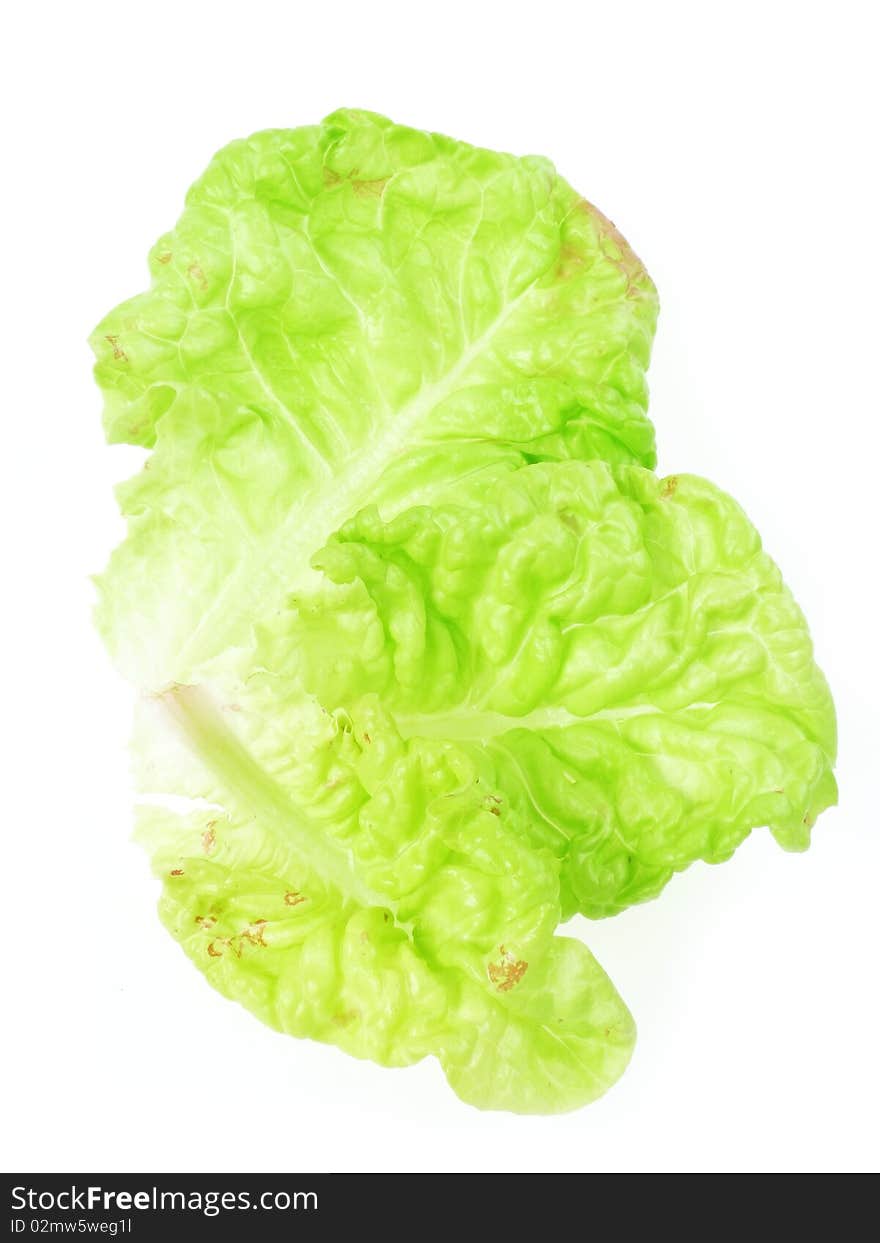 Three lettuce leaves