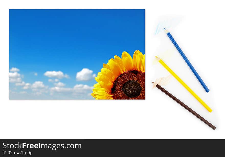 Image of sunflower with picturesque cloudy blue sky on a piece of paper with color pencils. Image of sunflower with picturesque cloudy blue sky on a piece of paper with color pencils