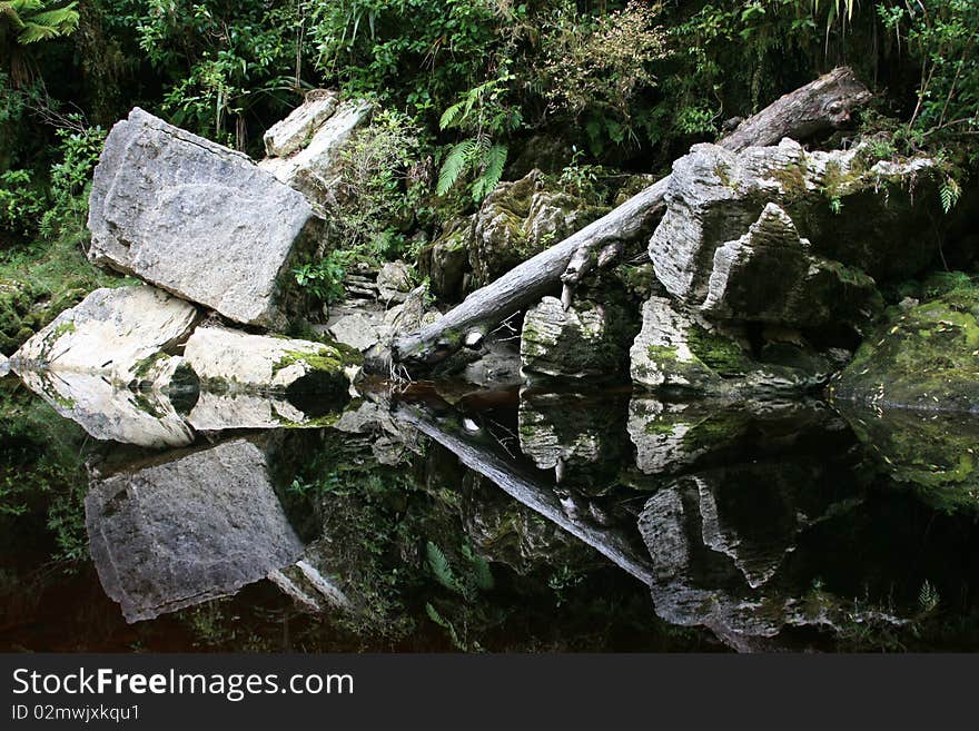 Reflections from a tannin stained river, West Coast, New Zealand. Reflections from a tannin stained river, West Coast, New Zealand.