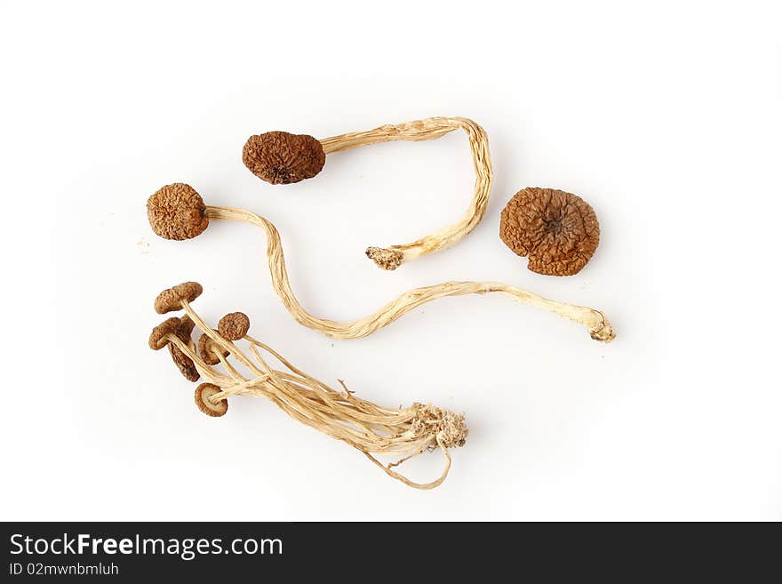 An image showing some dried oriental willow mushrooms, or brown tea tree mushrooms. Popularly used in chinese eastern cuisine, for stew, soups or salads. Vertical color format. Fragrant and exquisite flavor. Healthy food, high in protein and low in fat.