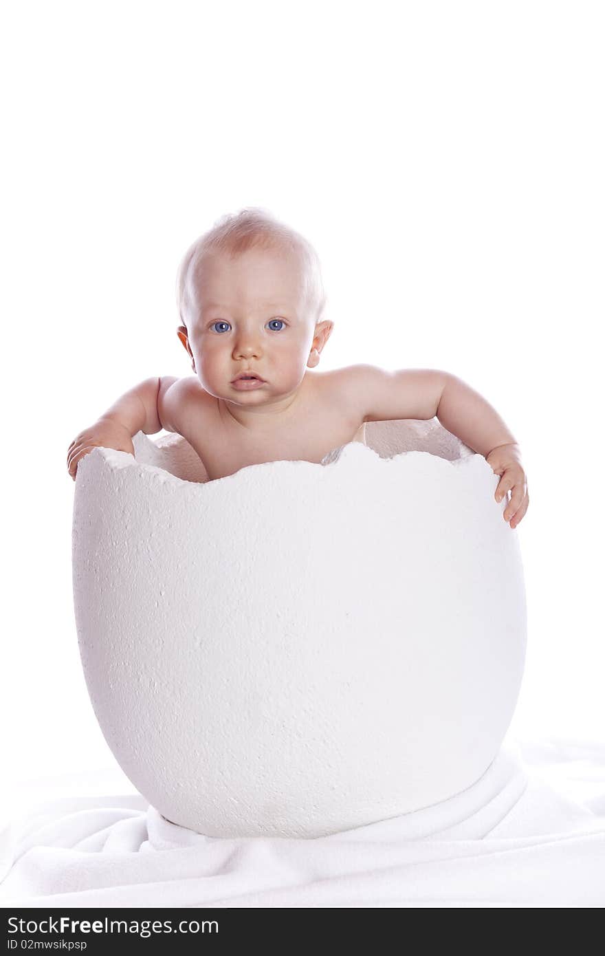 Baby boy in egg on white