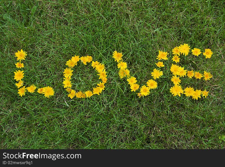 Love written in yellow dandelion flowers on green grass with background copyspace below. Love written in yellow dandelion flowers on green grass with background copyspace below