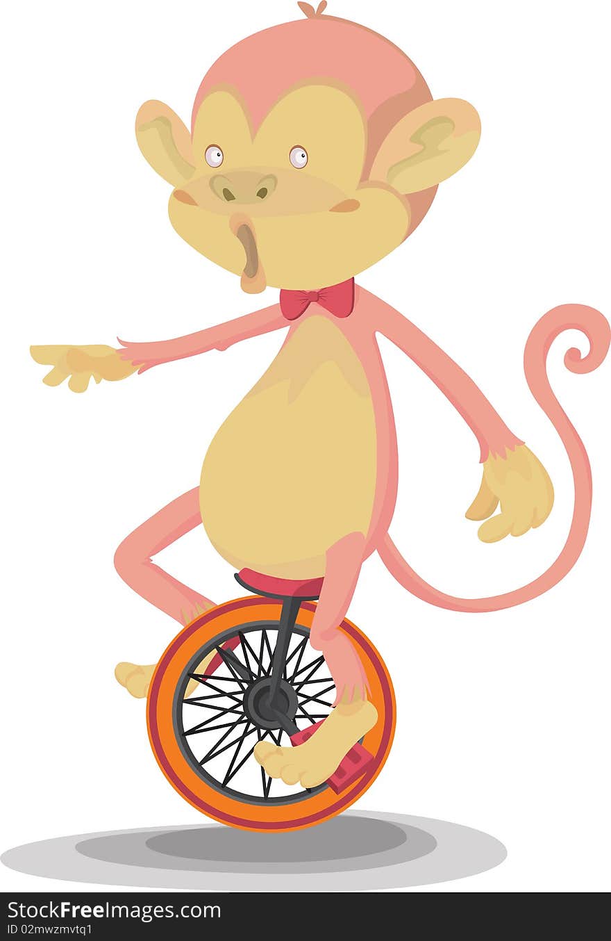 A Monkey Doing Cycling