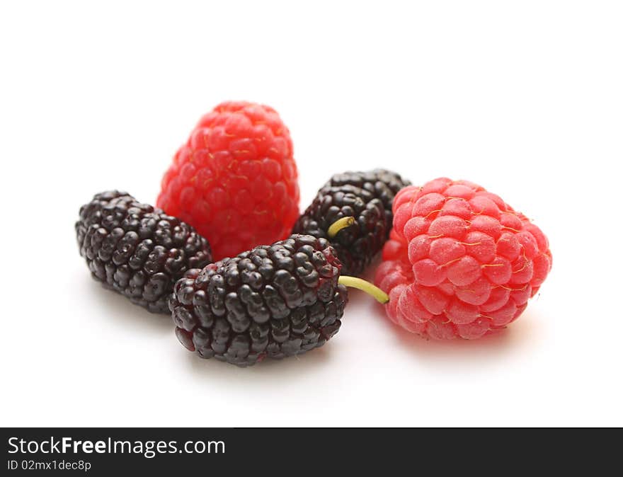 Isolated berry: raspberry and mulberry