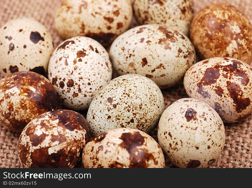 Photo of the quail egg on rough sackcloth