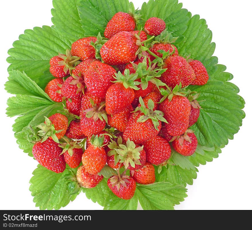 Garden strawberries