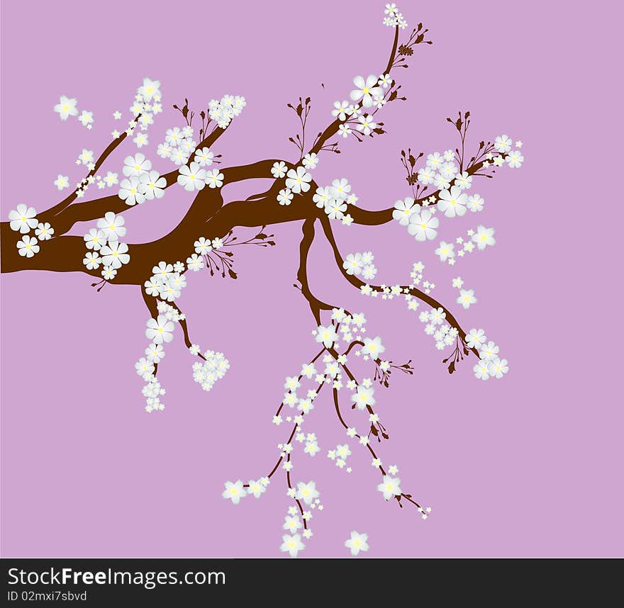 Romantic cherry tree, vector background