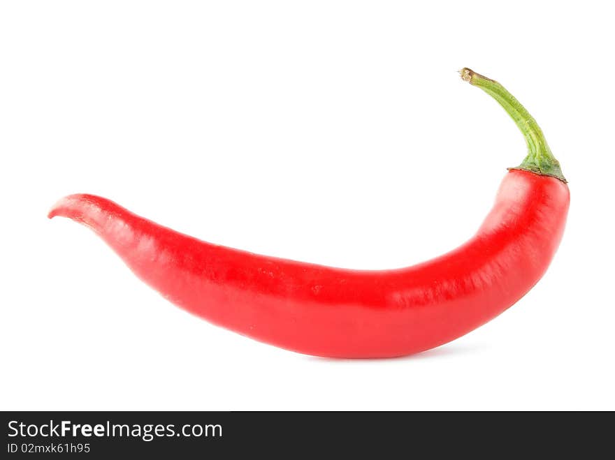 Chili pepper isolated white background