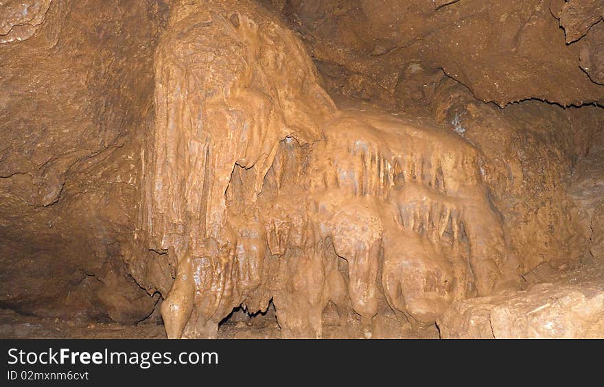 The image of a fossilized mammoth