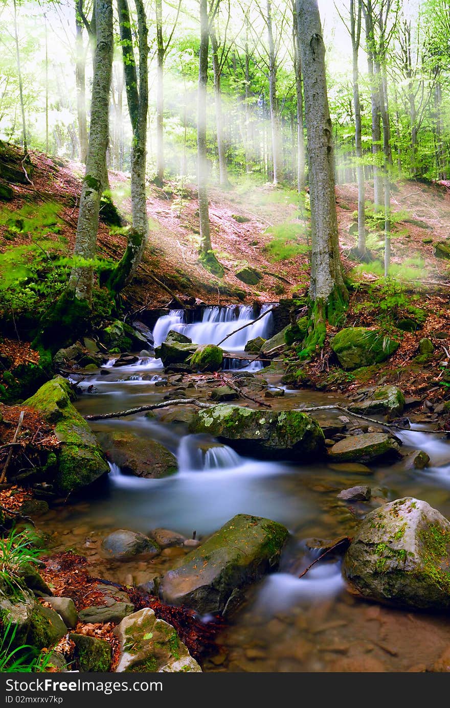 Waterfall in forest liten by a sunbeams