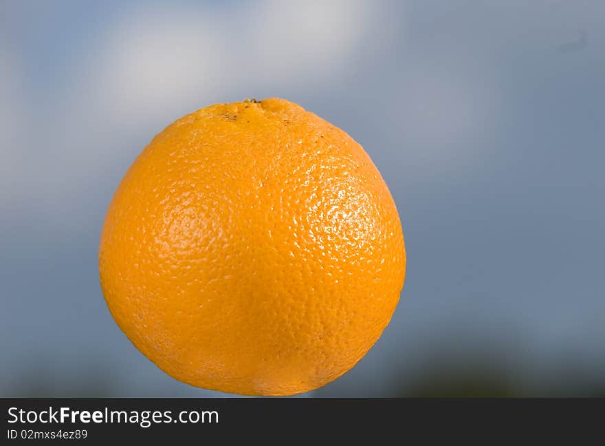 Yellow orange against the blue sky