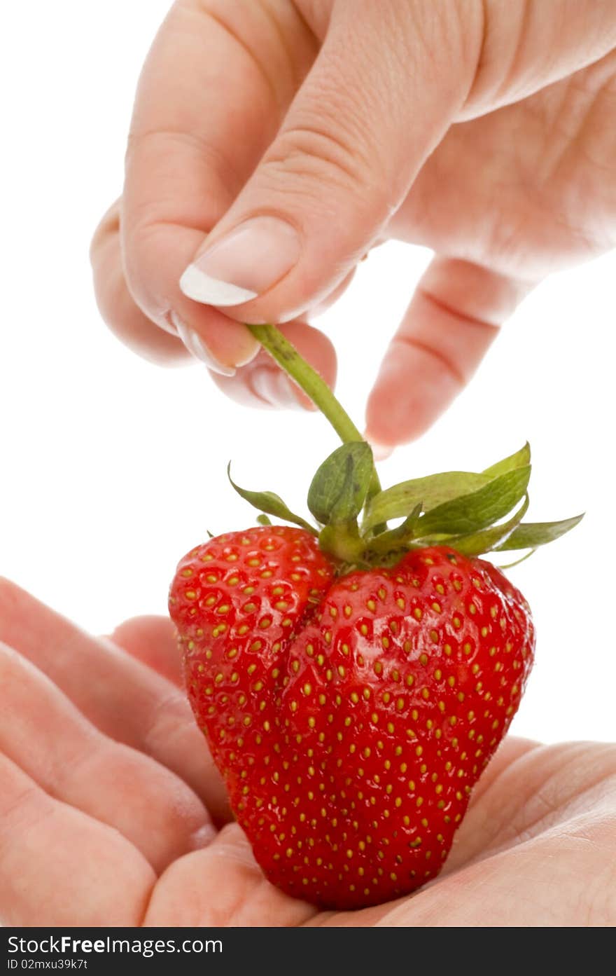 Strawberry heart  in hands on white