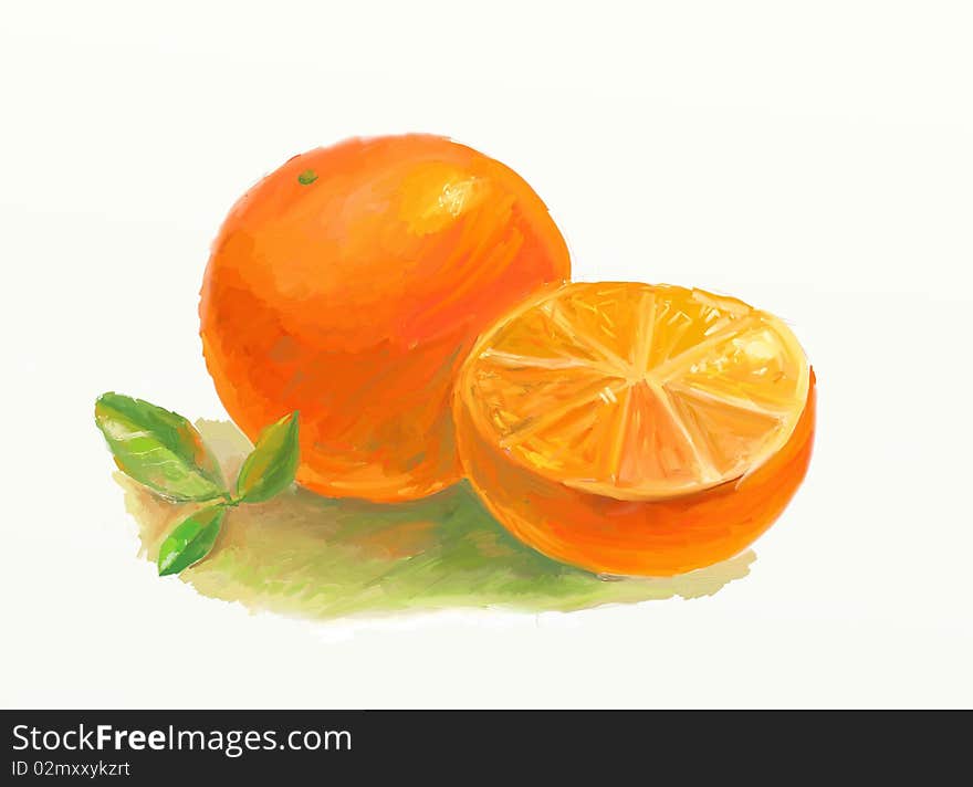 Hand drawing of orange with leaves. Hand drawing of orange with leaves