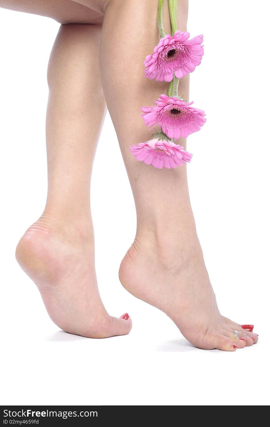 woman legs  and flowers  over white