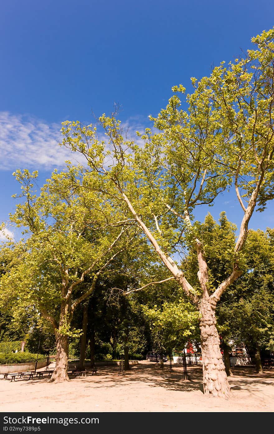 Park in spring time on a sunny day. Park in spring time on a sunny day