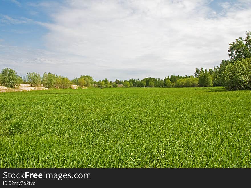 Bounless elbowrooms green meadow in Siberia. Bounless elbowrooms green meadow in Siberia