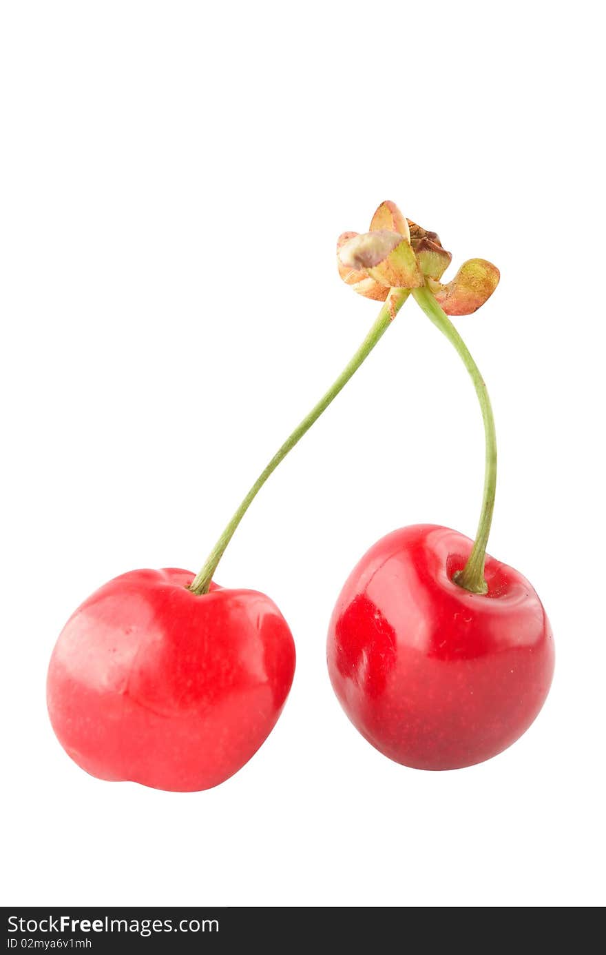 Juicy Cherry Isolated