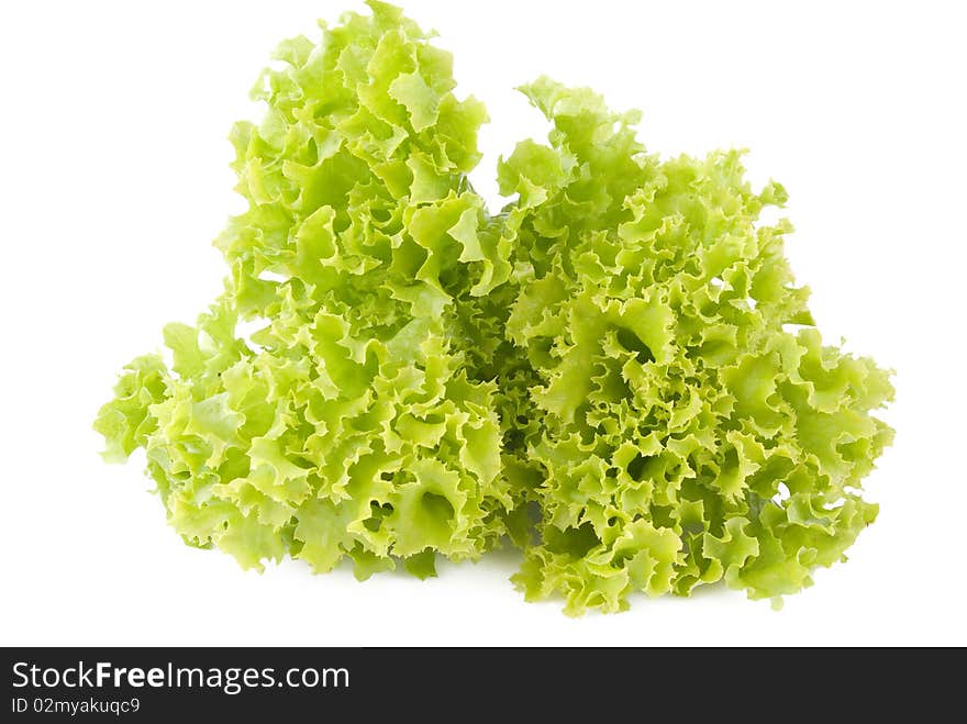 Green Salad (lettuce)