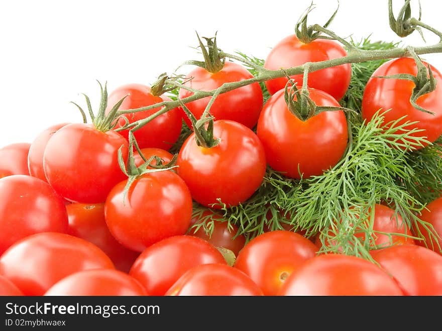 Cherry tomatoes with branch and dill