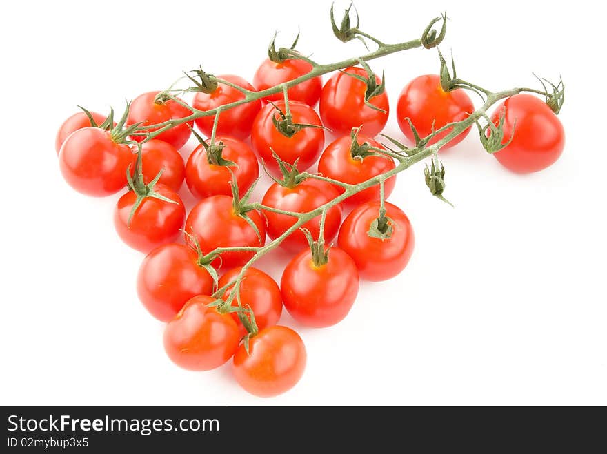 Shiny Tomatoes with stem