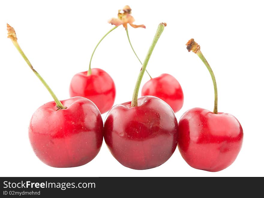 Juicy cherry on white background. Juicy cherry on white background