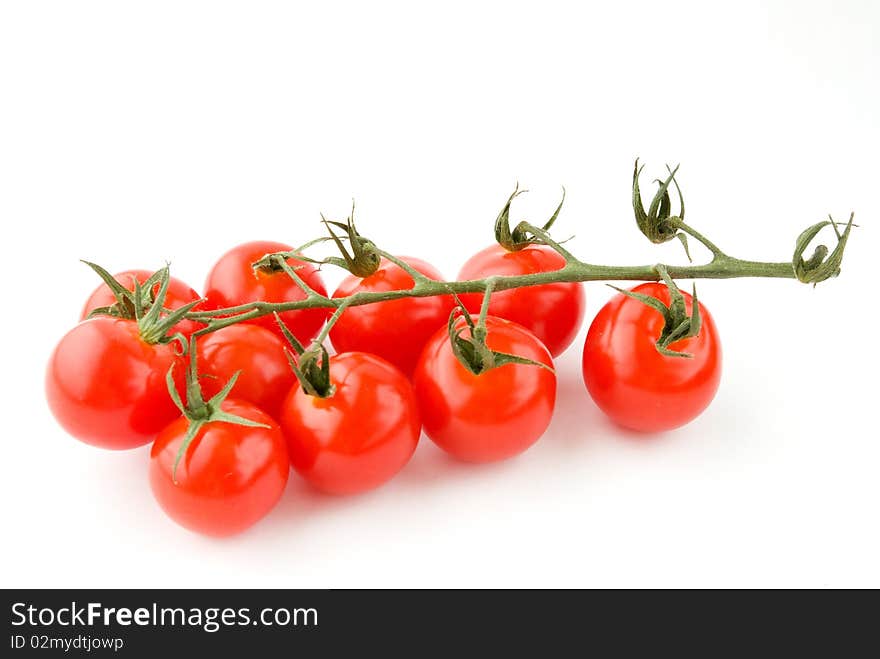 Cherry tomatoes green branch