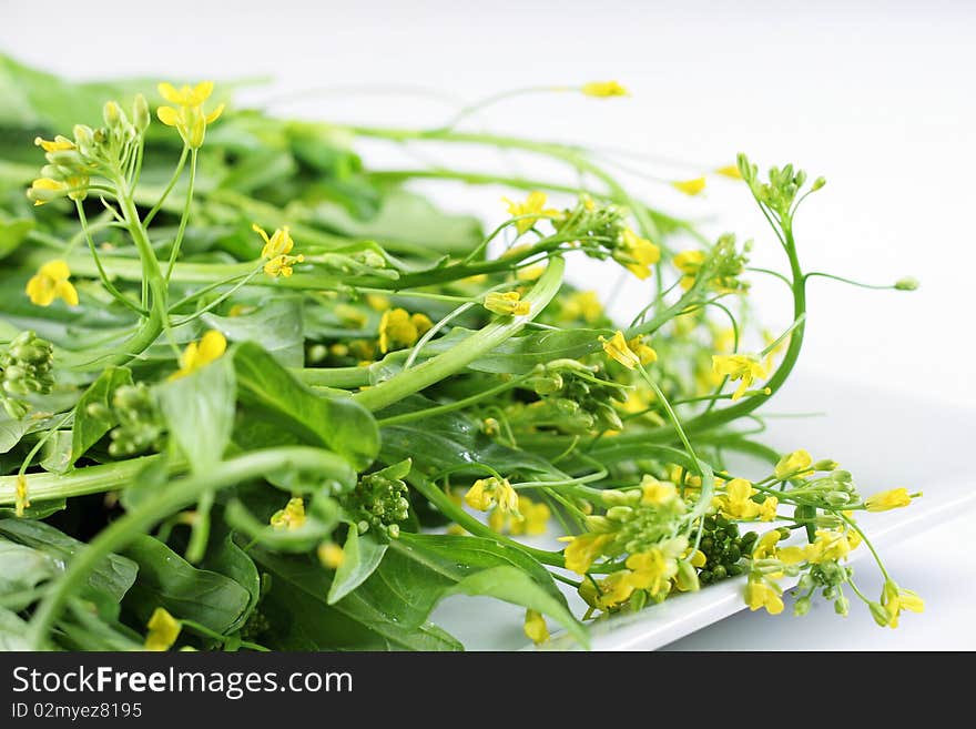 Baby greens with tiny yellow flowers