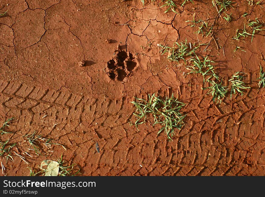 Texture on the floor by Car(wheel) and Dog(foot)