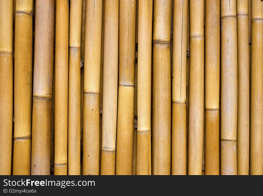 Bamboo yellow background. Looks natural