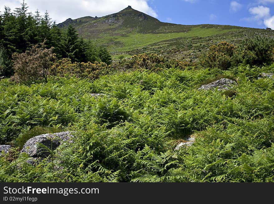 Kilclooney Ridge in Comeragh Mts.Co.Waterford,Ireland