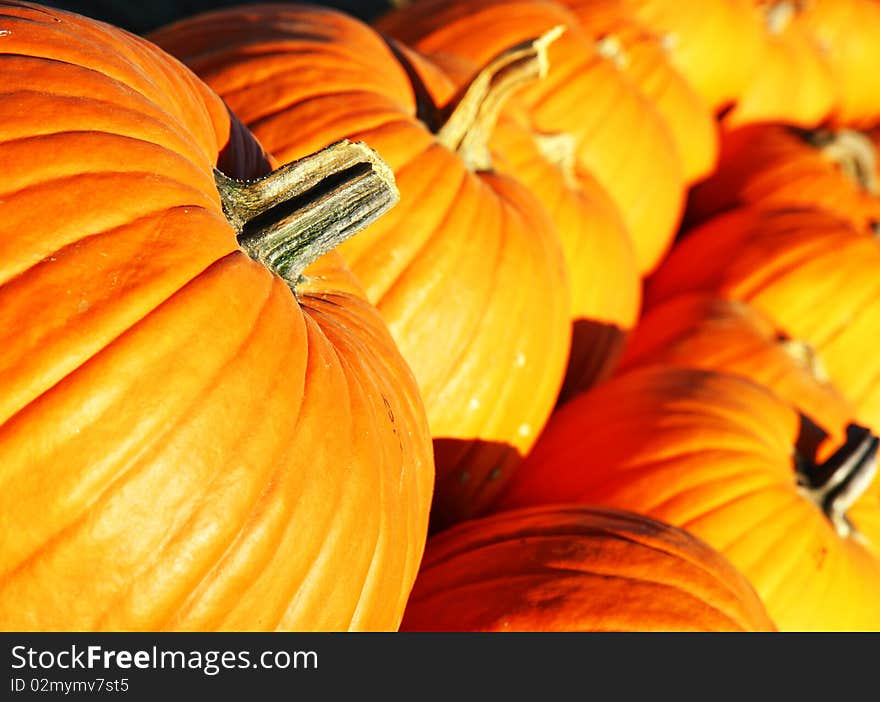 Rows of large pumpkins at a country fair, ready for Halloween. Rows of large pumpkins at a country fair, ready for Halloween