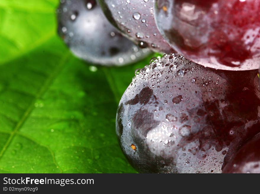 Fresh red grapes covered in dew drops with a bright green leaf