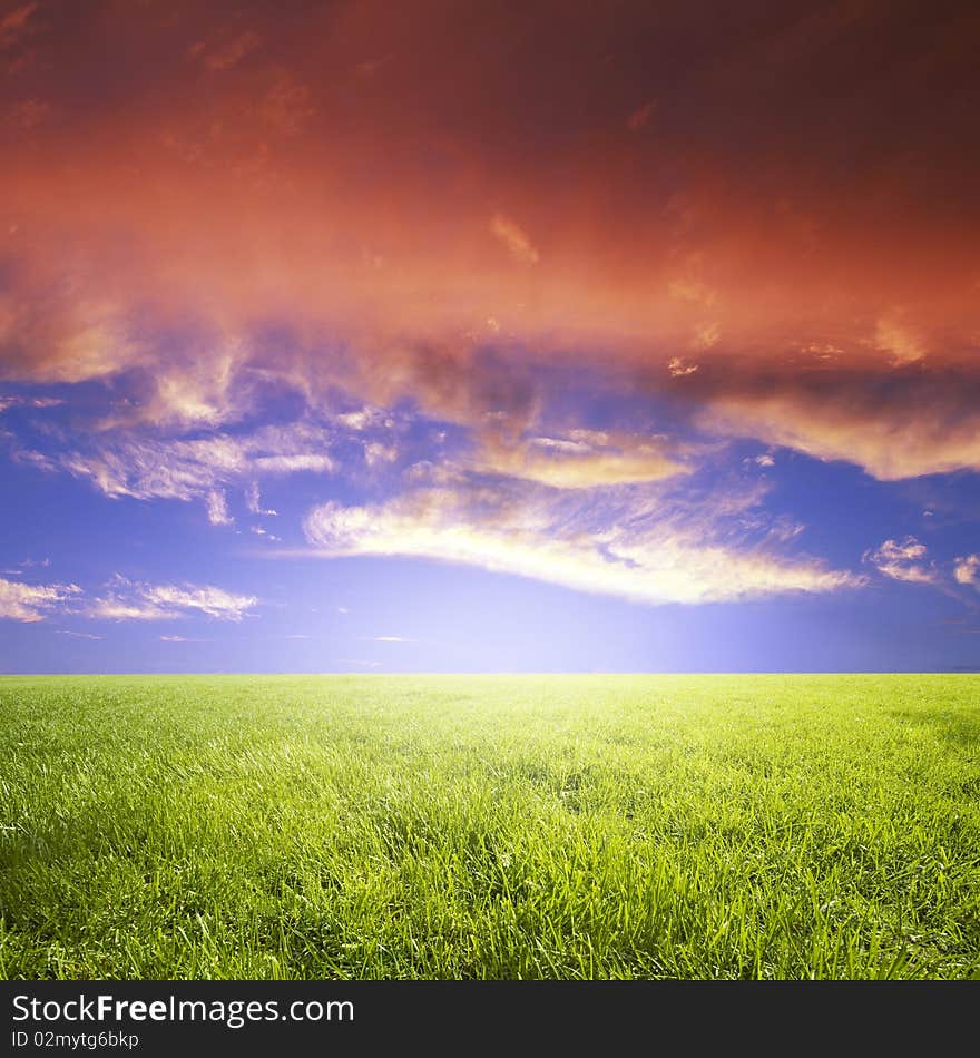 Green field and blue sky