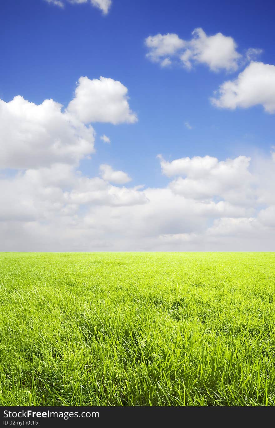 Green field and blue sky