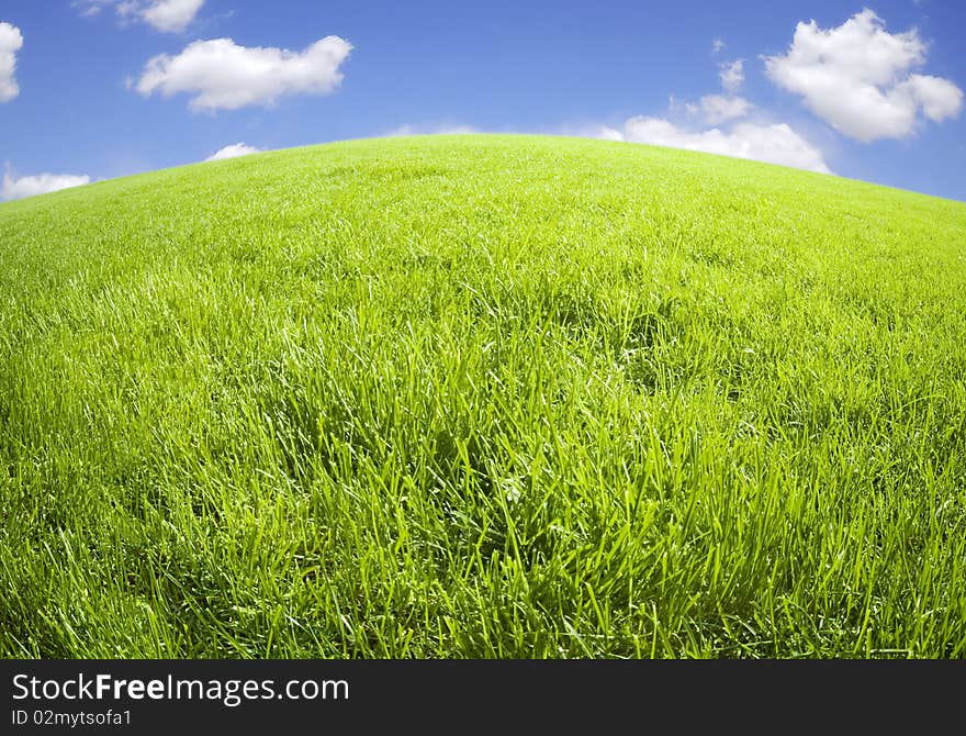 Green field and blue sky