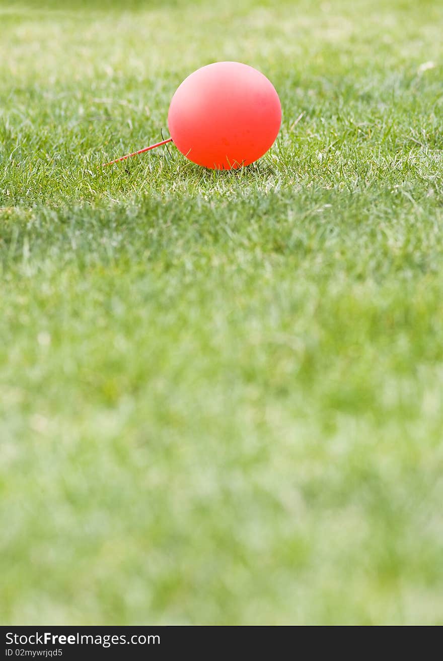 Red balloon in lawn