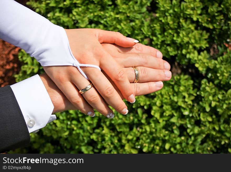 Wedding rings on hands