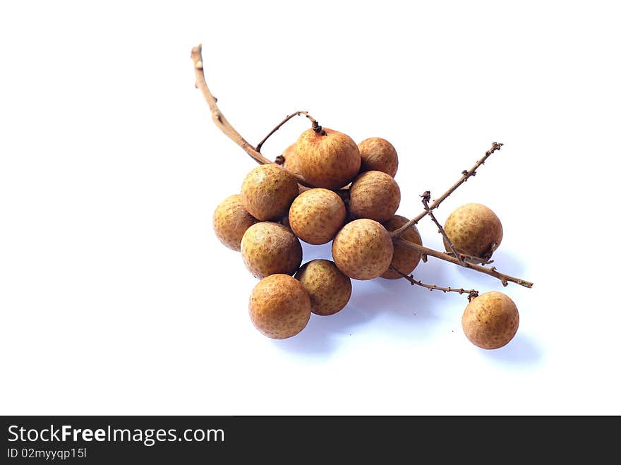 Branch of longan on white background with shadow. Branch of longan on white background with shadow