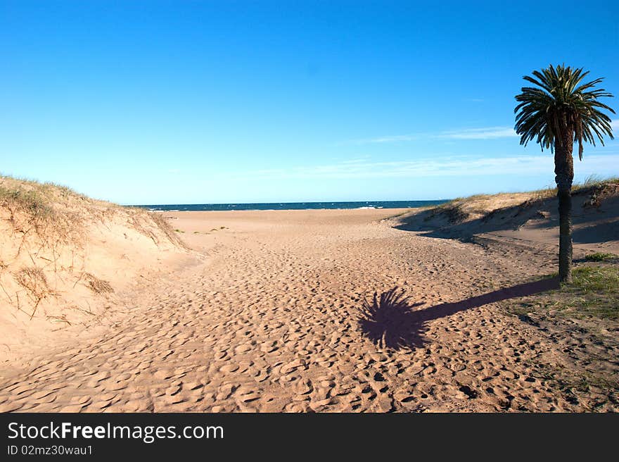 Sunny Beach On Coast Of Atlantic Ocean